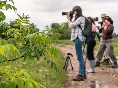 People taking photos of birds