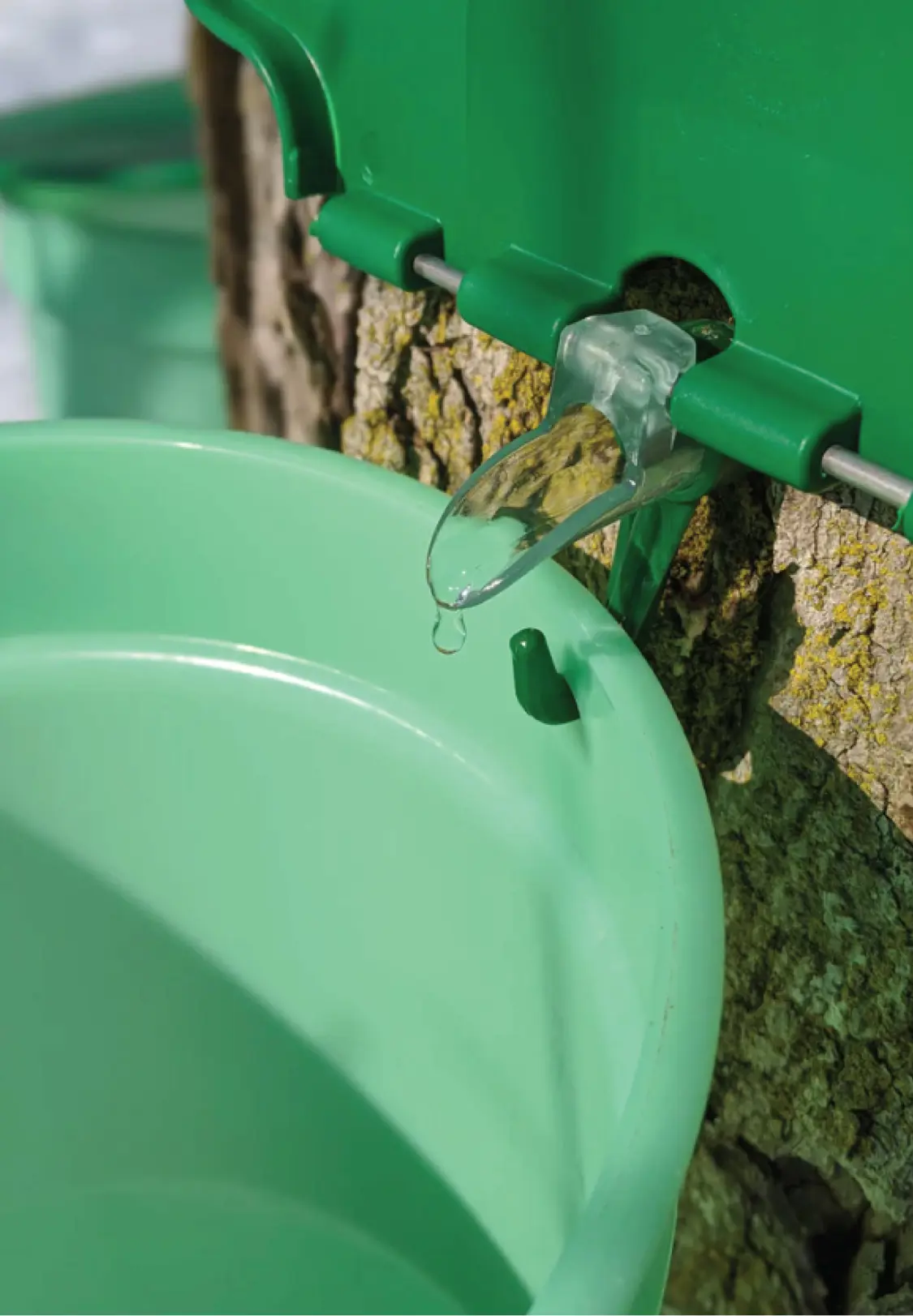 Sap bucket