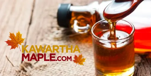 Kawartha Maple 