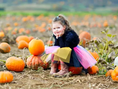 Pumpkin Patch