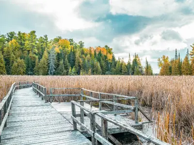 Boardwalk through the marsh at Ken Reid Conservation Area