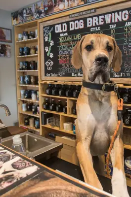 Sip your way through Kawartha Lakes