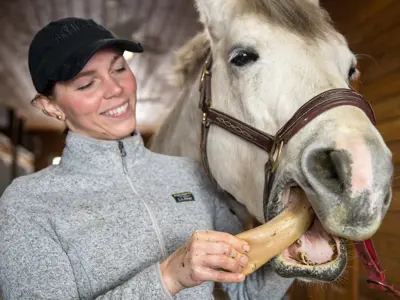 Lady holding horse and feeding it
