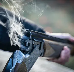 gun
