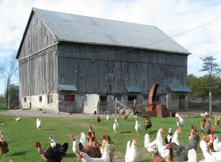 Lanesend Farm & Fibre