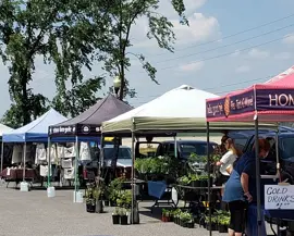Market vendors at farmers' market
