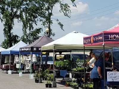 Market vendors at farmers' market