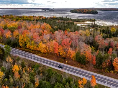 Trestle Bridge Fall Colours