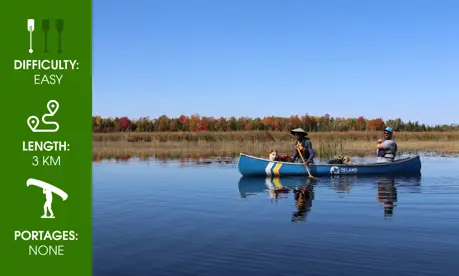Ken Reid Wetland