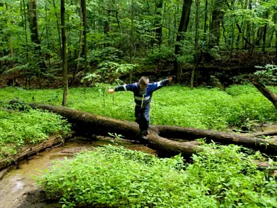 Child playing in the forest