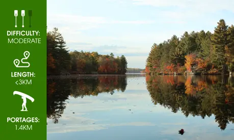 Queen Elizabeth II Wetlands