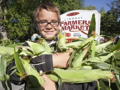 Boy at Lindsay Farmers' Market holding an armful of corn cobs